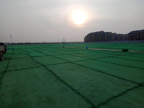 蚌埠市泥土與泥漿固化劑供應及租賃服務詳解